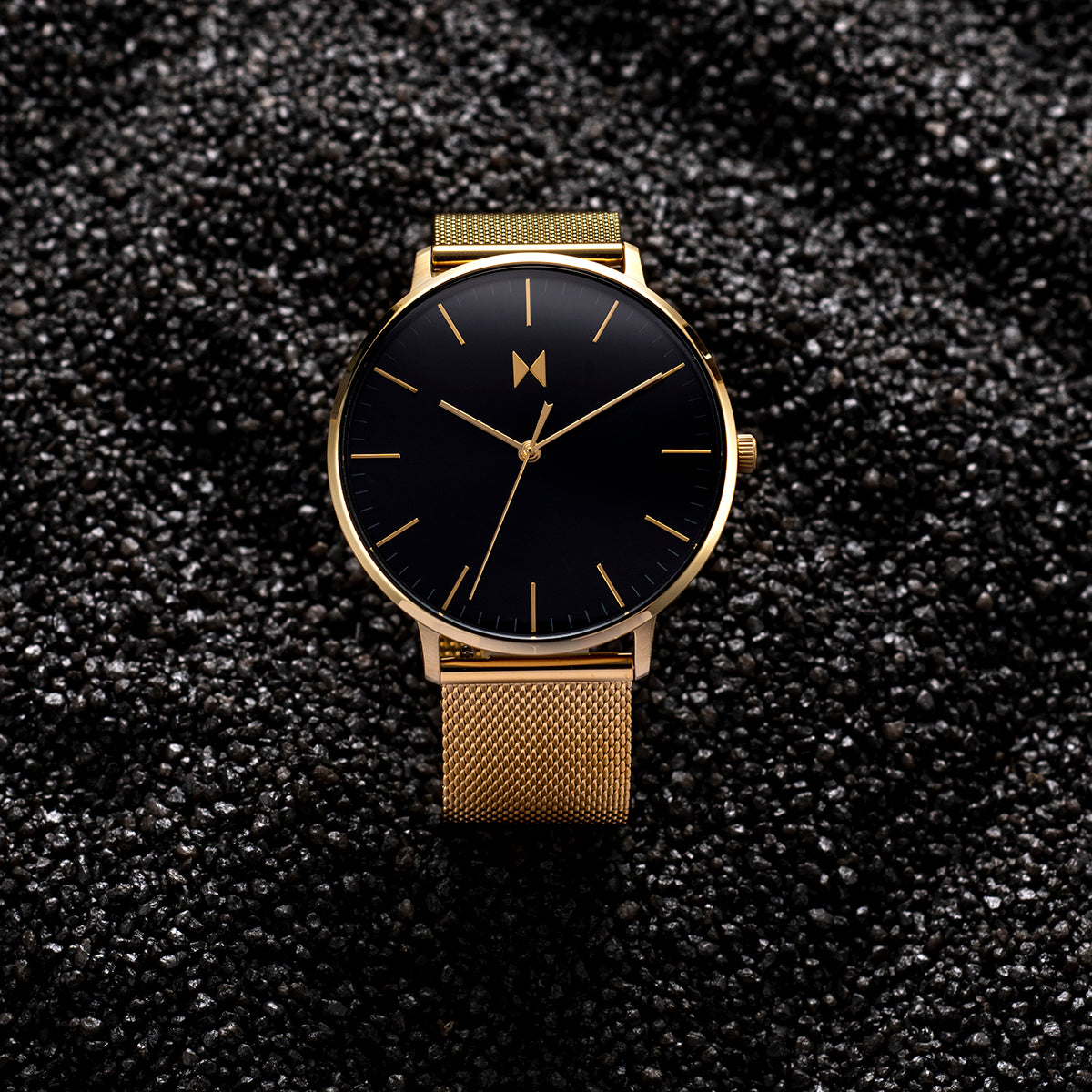 Legacy Slim Lion Gold 42mm