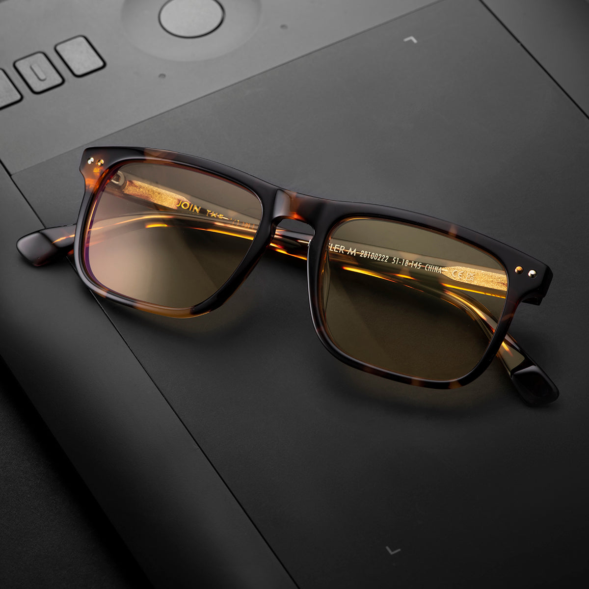 Reveler Gold Shield Tortoise