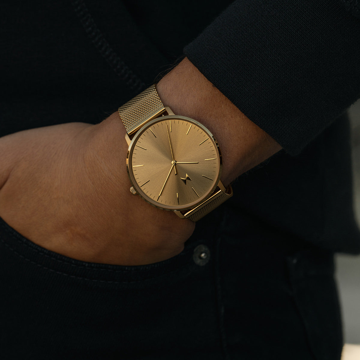 Legacy Slim Phoenix Gold Mesh 42mm