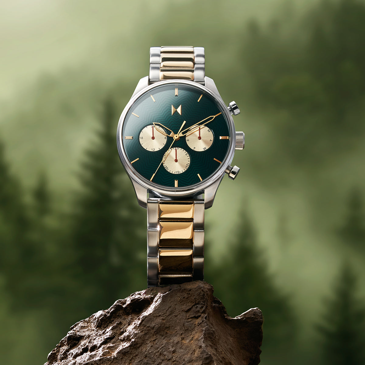 Airhawk Alpine Treasure 42mm Steel