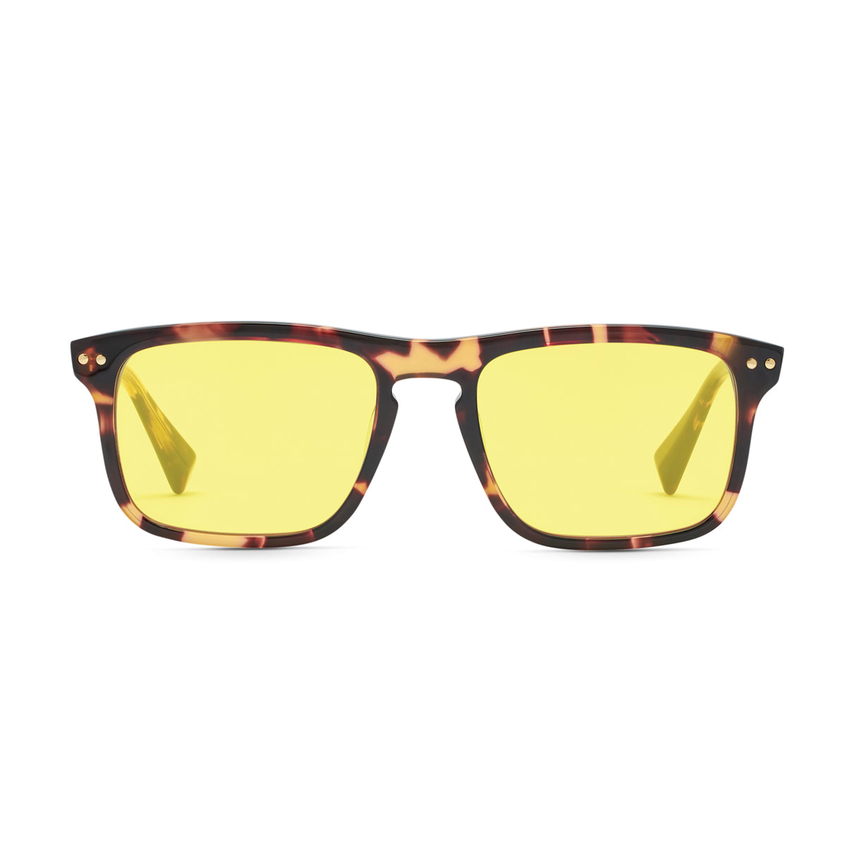 Reveler Gold Shield Tortoise