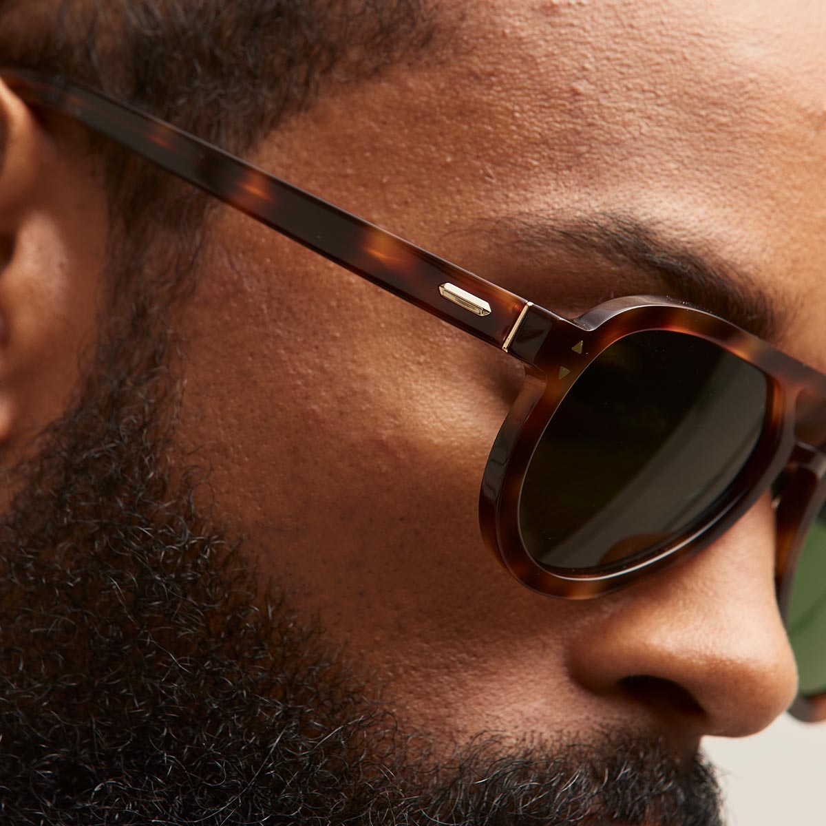 Hollywood Aviator Sunglasses Tortoise