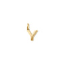 Alphabet Charm Gold - Y